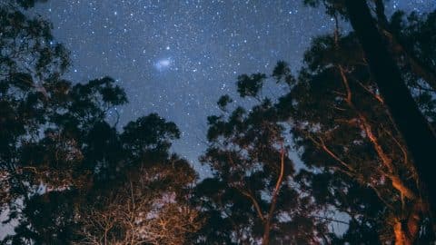 Memorial-Day-2018 Memorial Day scaled