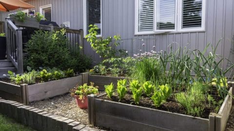 AdobeStock x AdobeStock x