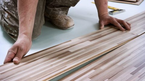 shutterstock x shutterstock x